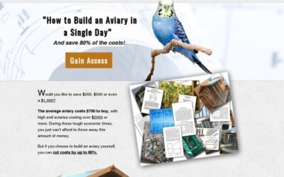 How to build an aviary