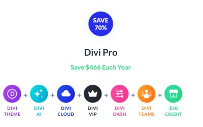 Closing Probability! The Divi Summer season Sale Ends Nowadays