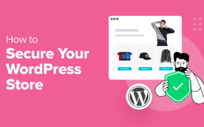 Ecommerce Safety Pointers: Find out how to Protected Your WordPress Retailer