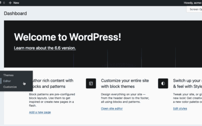 Edit your WordPress web site’s header with out plugins