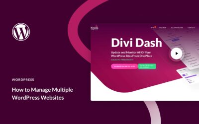 How to Manage Multiple WordPress Websites from One Place
