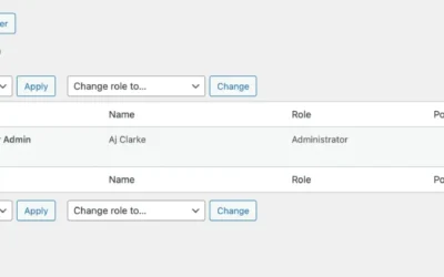 How to Upload Custom Columns in WordPress Client Dashboard