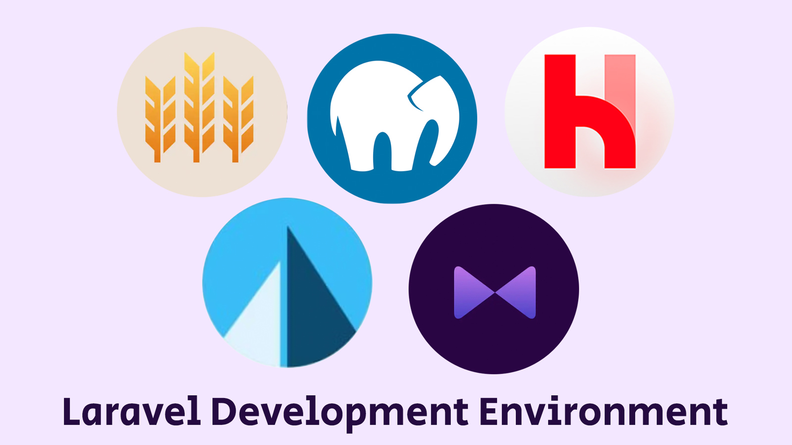 Laravel Development Environment