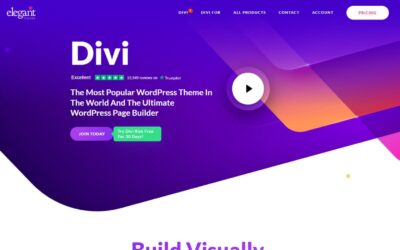 The Final Divi Toolset for Divi Energy Customers (20-70% OFF)