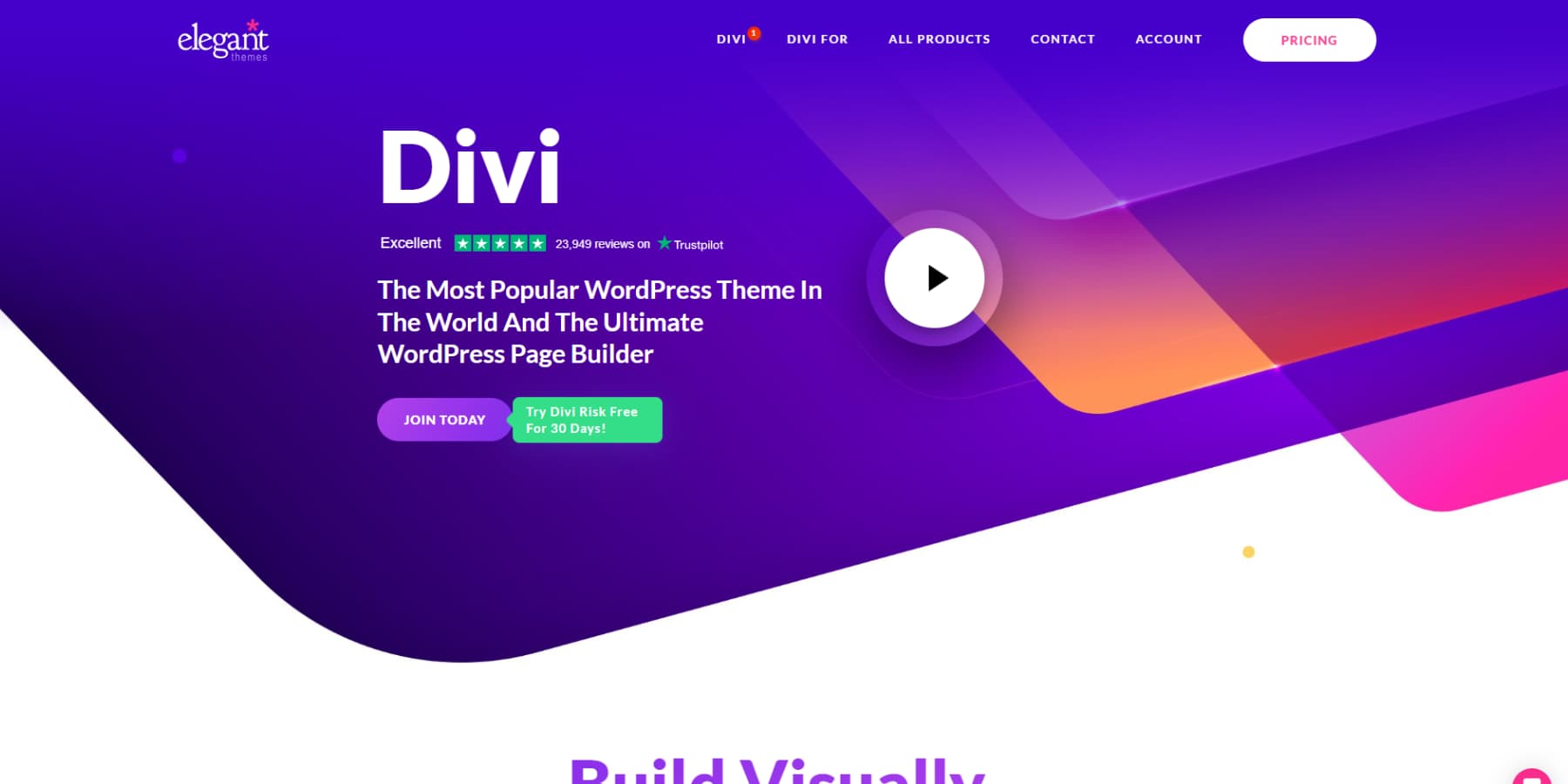 The Final Divi Toolset for Divi Energy Customers (20-70% OFF) A screenshot of Divi