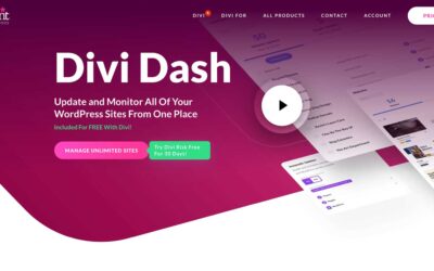 How Divi Sprint Is helping You Keep on Most sensible of WordPress Updates