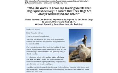 Dog Training Secrets: Stop Your Dog’s Behavior Problems!