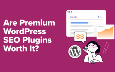 Are Top rate WordPress search engine marketing Plugins Price It? (+ Easy methods to Select)