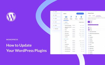 Come aggiornare i plugin di WordPress