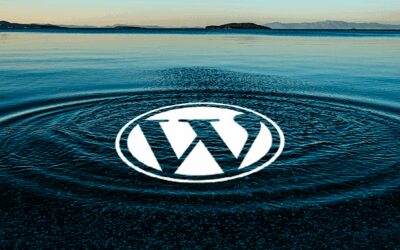 Contributing to the WordPress Ecosystem (My Ideas)