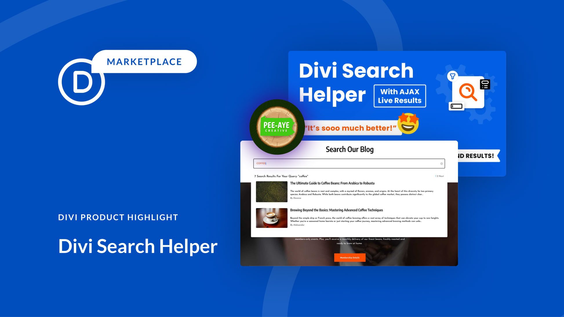 Divi Product Highlight: Divi Search Helper
