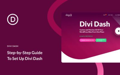 Guida dettagliata per la configurazione di Divi Dash