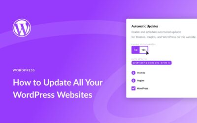 How to Update All Your WordPress Sites at Once