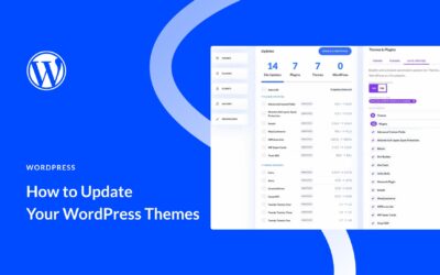 How to Update WordPress Themes