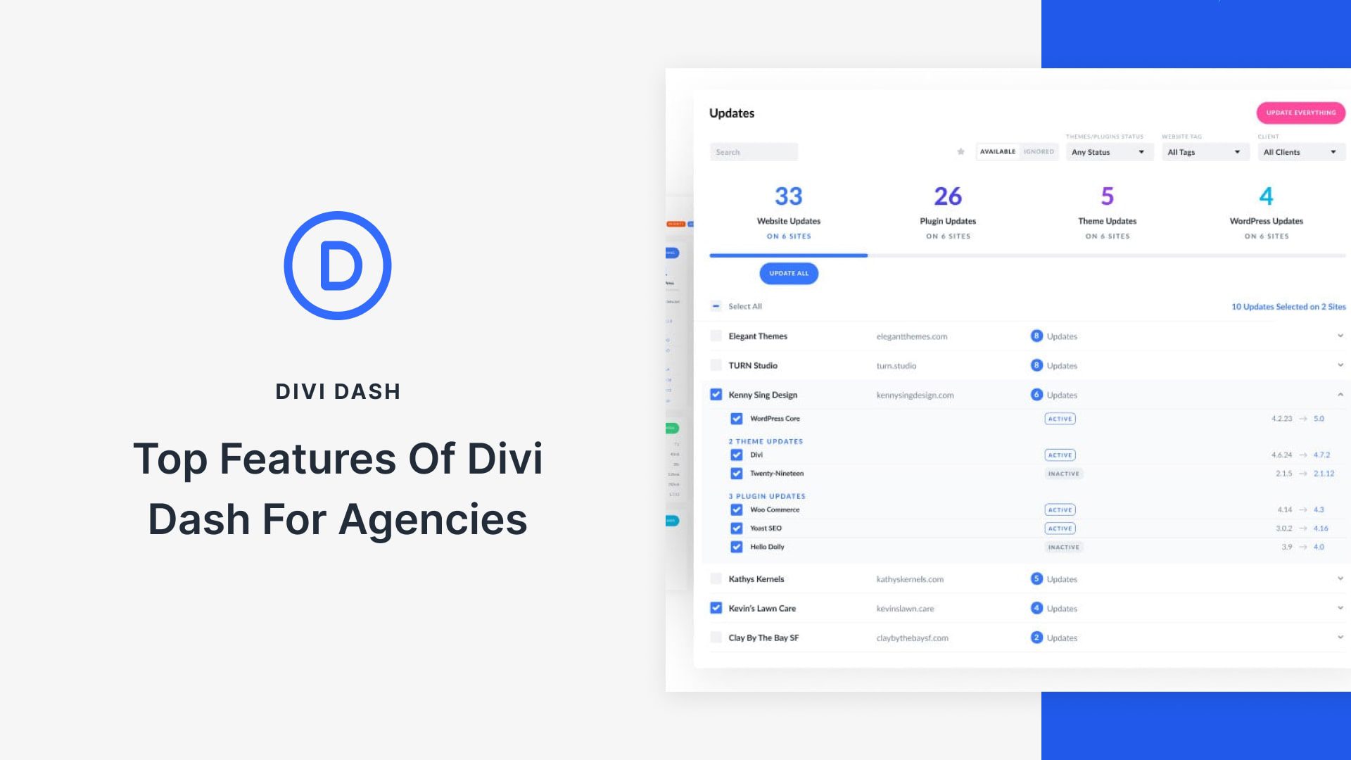 Key features of Divi Dash for busy WordPress agencies
