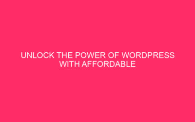 Unlock the power of WordPress with affordable WordPress developers in…