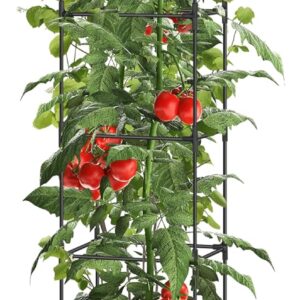 78.7" Raised Garden Bed Planter Box with Trellis, Self-Watering Climbing Vine Vegetables, Flower, Tomato Cage Planters with Wheels for Indoor, Outdoor, Patio, Greenhouse, Gardening