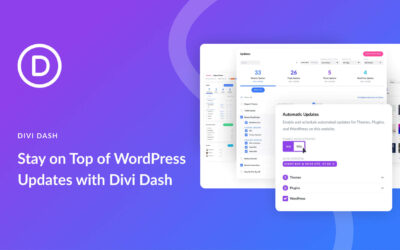 In che modo Divi Dash ti aiuta a rimanere aggiornato sugli aggiornamenti di WordPress