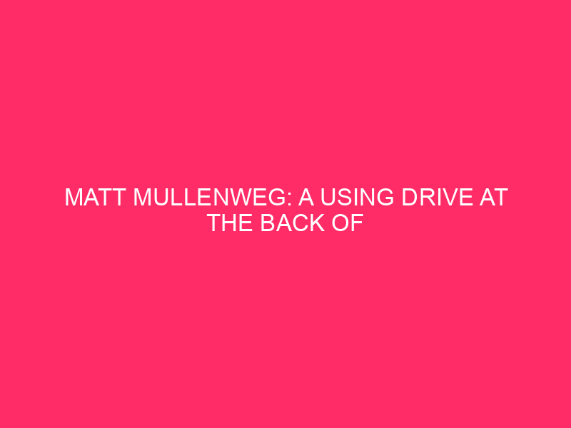 Matt Mullenweg: A unit using WordPress' Behind Luck Matt Mullenweg,...
