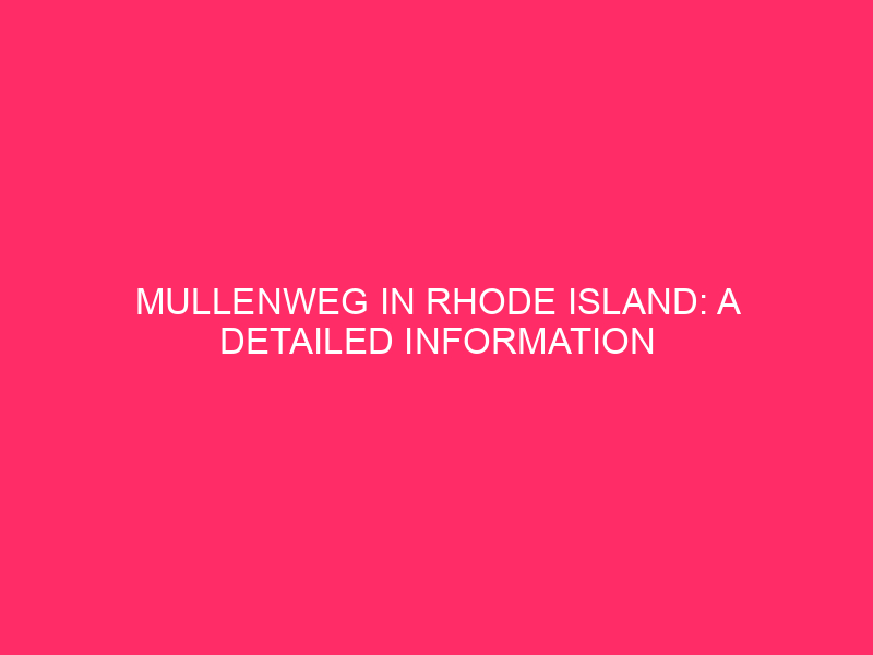 Mullenweg in Rhode Island: Detailed Information on WordPress Exploits...
