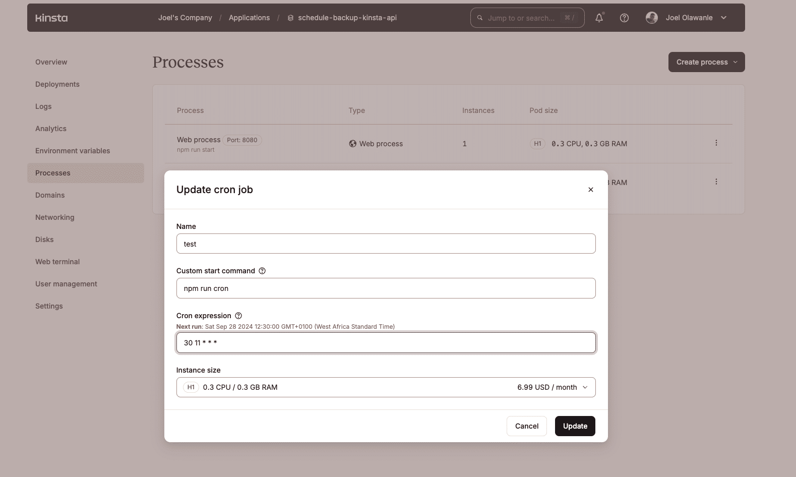 Setting up a cron job in Kinsta