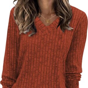 Zeagoo Women's Long Sleeve Shirts, V Neck Casual Pullovers, Basic Knitwear, Fall Fashion 2024