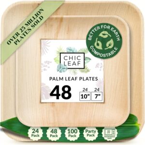 Disposable plates with chic leaves with chic leafy - Bamboo plates disposable 10 inches and 7 square inches - compostable and biodegradable, better than plastic plates - Thanksgiving disposable dishes for the party