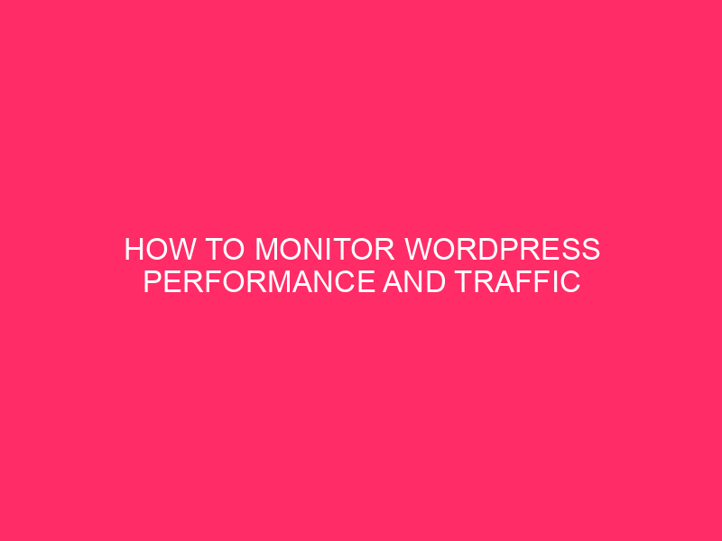 How to monitor WordPress performance and traffic » Super effective…
