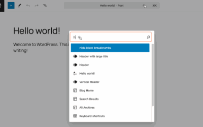 How your plugin can customize the WordPress command palette