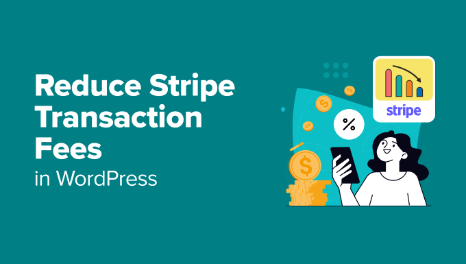 Learn how to Scale back Stripe Transaction Charges in WordPress (3 Skilled Guidelines)