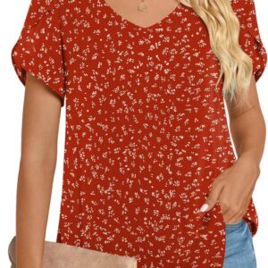 Hotgift 2025 Women T-shirt Summer Tops Tunic Tunic Tops with Short Sleeve V Col Thirts Mousseline Blouses