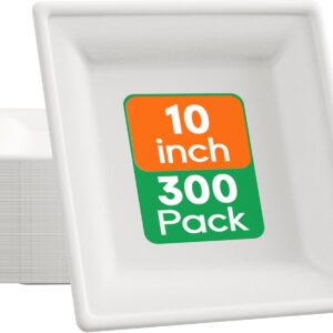 Ecolipak 10 inch square paper plates, heavy biodegradable paper plates at 300 packages, made from sugar cane, white disposable plates respectful for the party, dinner