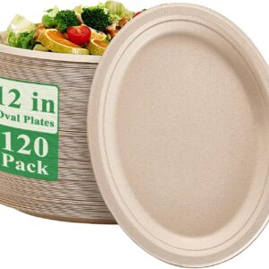 VPLUS 100% Plates in compostable oval paper 12 inch 120 Super Strong Pack Dinner Plates Natural Biodegradable Natural Ecological Sugar Cane For Barbecue, Party, Gathering and Picnic