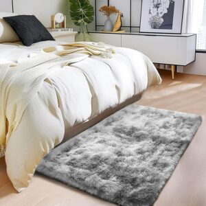 Interior floor mat of soft and soft soft carpets for living room