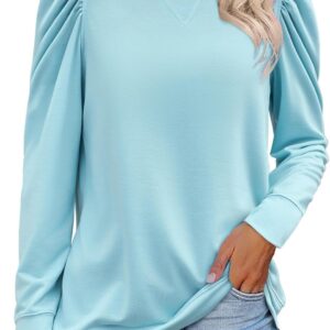 Zeagoo Tunic for women 2024 long -sleeved shirts