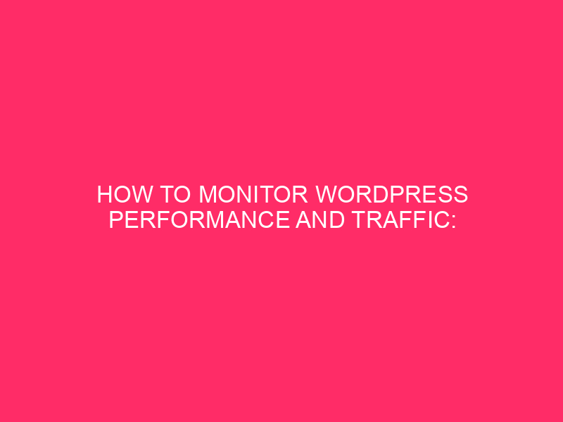 How to monitor WordPress performance and traffic: keep your Kodiak ...
