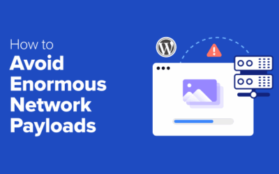 Methods to Steer clear of Monumental Community Payloads in WordPress (8 Skilled Pointers)