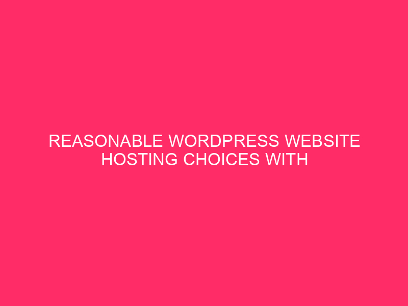 Reasonable WordPress Website hosting Choices With Just right Options | Release Your…