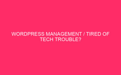 WordPress Management / Stance of Tech Trouble? Let’s talk about WordPress …