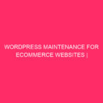 WordPress maintenance for E -COMMERCE Websites | WordPress maintenance for ecommerce ...