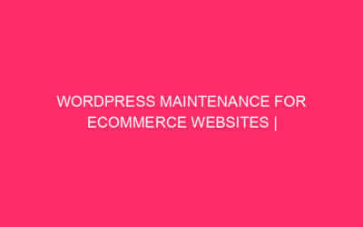 WordPress maintenance for E -COMMERCE Websites | WordPress maintenance for ecommerce …