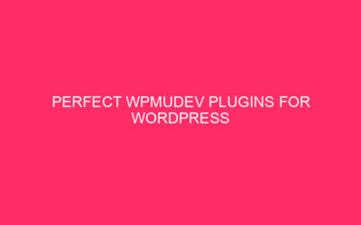 Wpmudev Plugin Perfect for WordPress optimization – Guam information to …