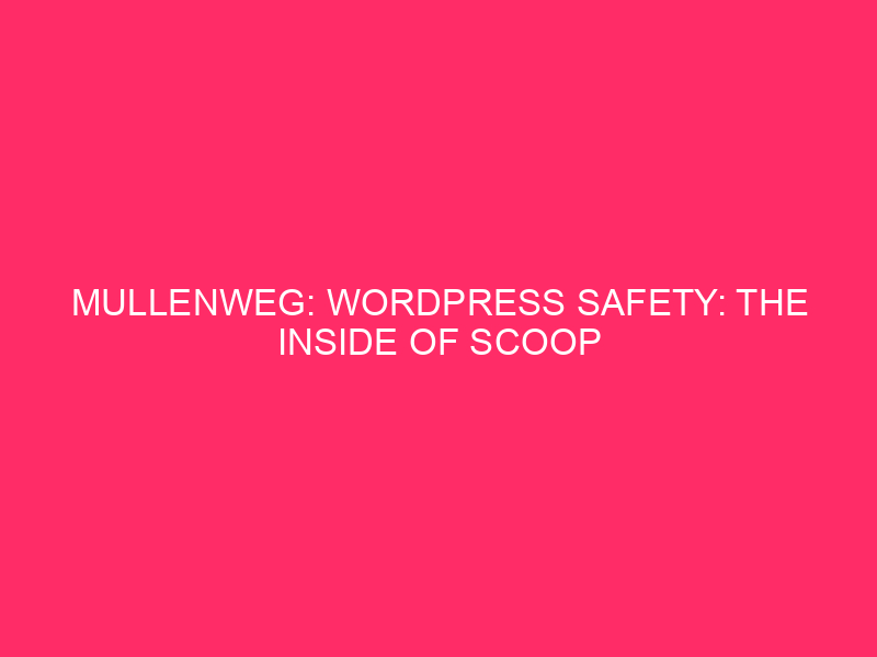 Mullenweg: WordPress Safety: The Inside of Scoop on Mullenweg and Exploit ...
