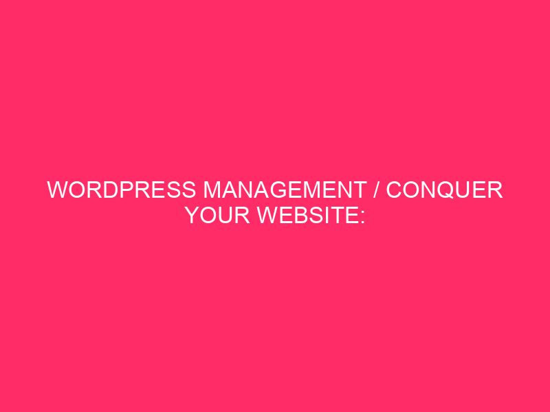 WordPress Management / Conquer your website: WordPress Management in limestone …