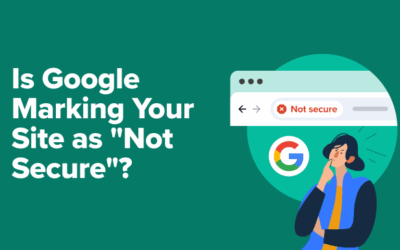 Is Google Marking Your Website as “Now not Safe”? (& Find out how to Repair It)