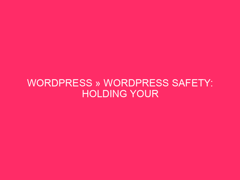 WordPress »WordPress Safety: keeping the Michigan online website protected by ...
