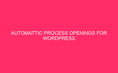 Automatic process openings for WordPress manufacturers | SCRIPTABLE YOUR WORDPRESS …
