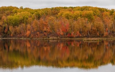 Mental Health Awareness: Tips For Maintaining Mental Well-being. – Feeling…