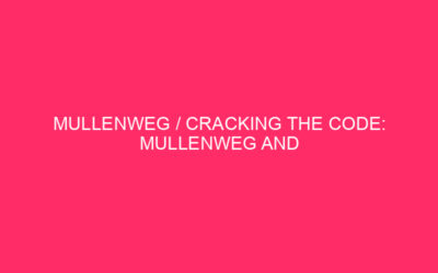 Mullenweg / Cracking of the code: Mullenweg and WordPress Safety the …
