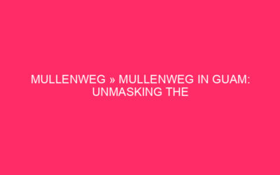 Mullenweg »Mullenweg in Guam: unmasking the security danger of WordPress …